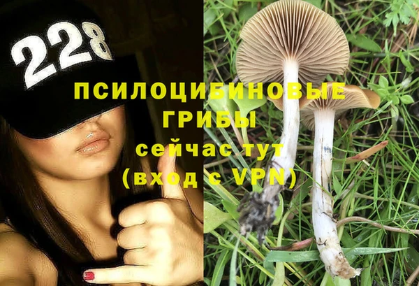 прущая мука Дмитров
