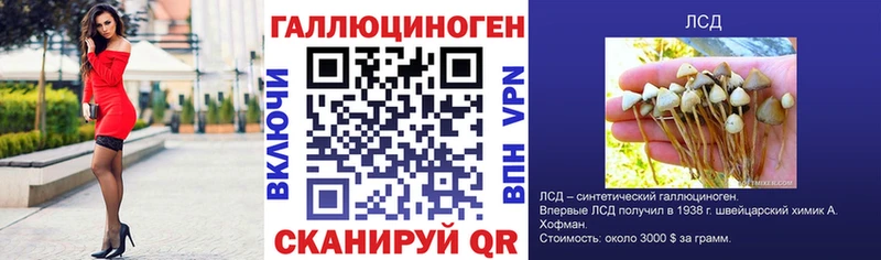 Псилоцибиновые грибы MAGIC MUSHROOMS  blacksprut как зайти  Пестово 